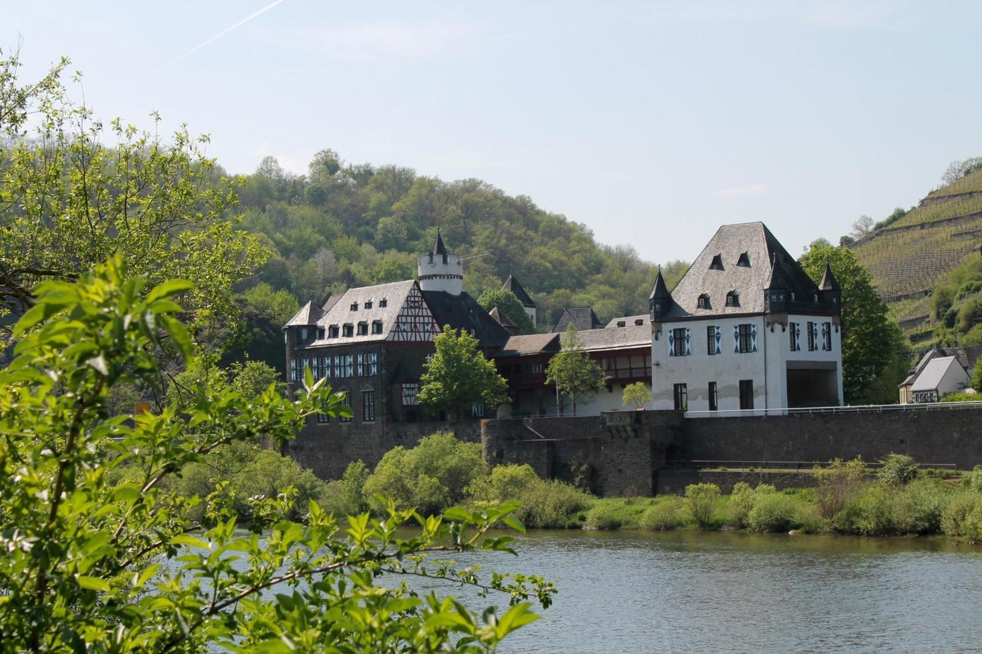 Ferienwohnung Auf Der Moselhoehe - Naehe Koblenz Und Cochem Dieblich Exterior photo