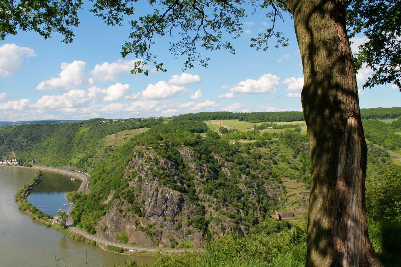Ferienwohnung Auf Der Moselhoehe - Naehe Koblenz Und Cochem Dieblich Exterior photo